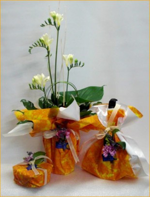 Cómo cuidar y mejorar las flores que te regalen