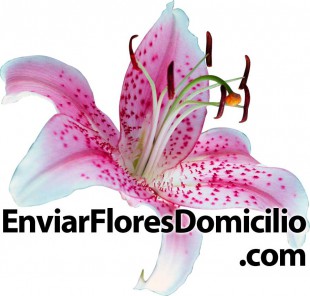 Nueva tienda de flores online