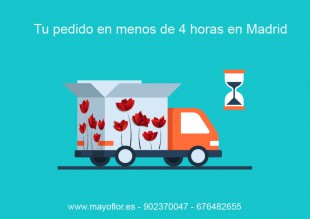 Recibe tu pedido en el mismo día: horarios de entrega de mayoflor en Madrid