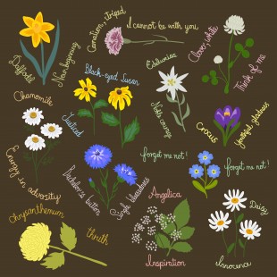 Las flores y su significado