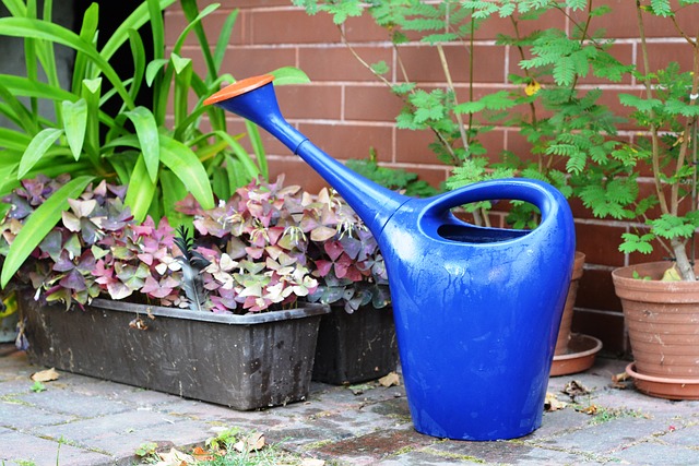 Cómo revitalizar las plantas en mal estado después del verano