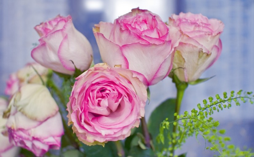 Las flores más apropiadas para decorar la casa