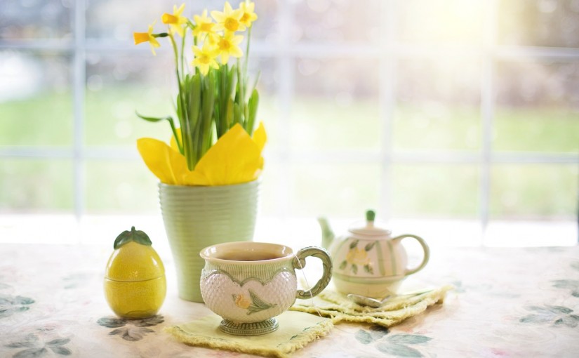 Cuidados básicos de las plantas de interior en primavera