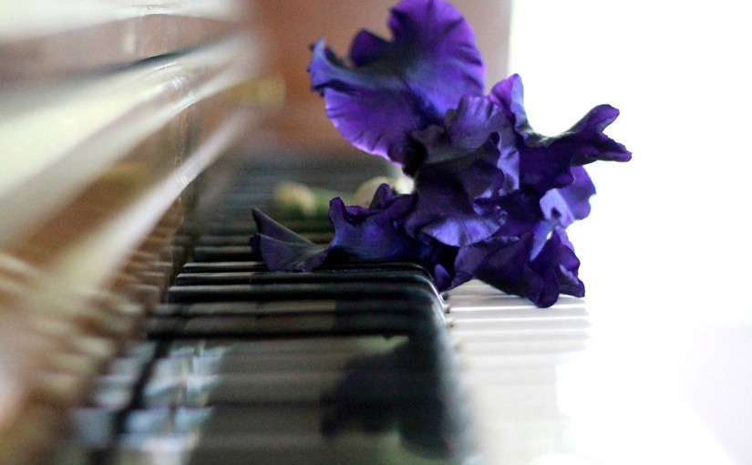 Flores y música ¿Superstición o creencia científica?