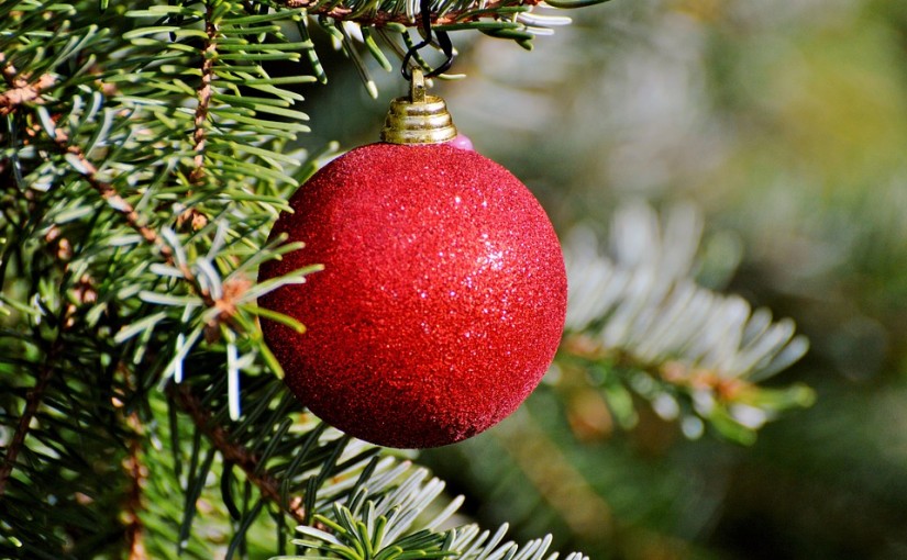 8 ideas para regalar flores y plantas en Navidad