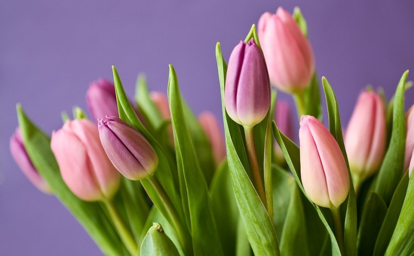 Cómo conservar bouquets de flores naturales