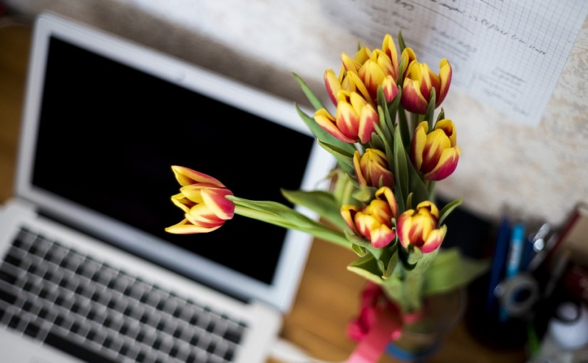 Flores decorativas para la oficina: ¿cuáles elegir?
