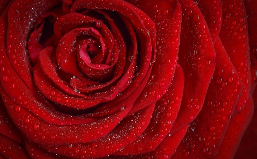 Qué regalar para San Valentín: ideas para todos los gustos